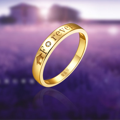 ��������ϵ��019