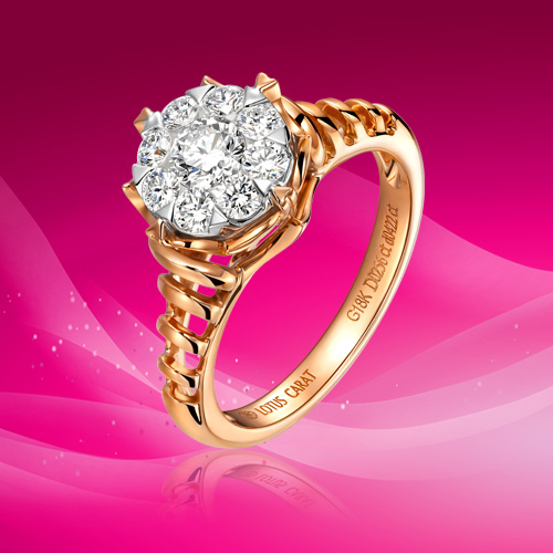 һ����Եϵ��005